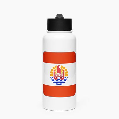 Stainless Steel Water Bottle with Straw Lid