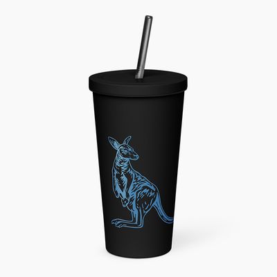 Insulated Tumblers with Straw