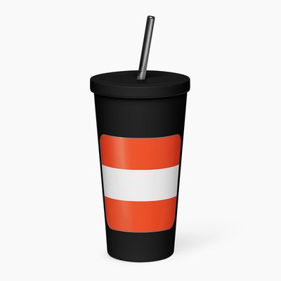 Insulated Tumblers with Straw