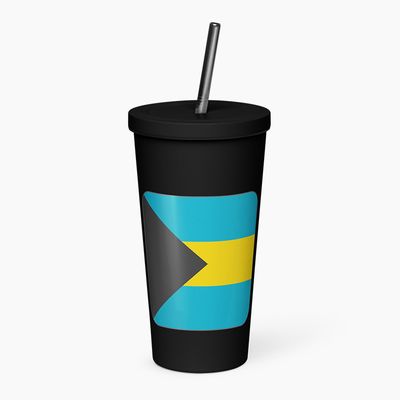 Insulated Tumblers with Straw