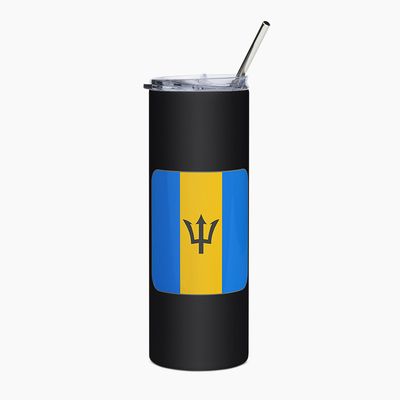 Stainless Steel Tumblers