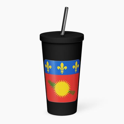 Insulated Tumblers with Straw
