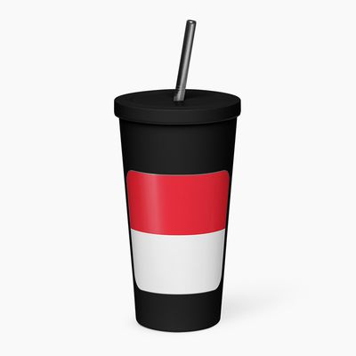 Insulated Tumblers with Straw