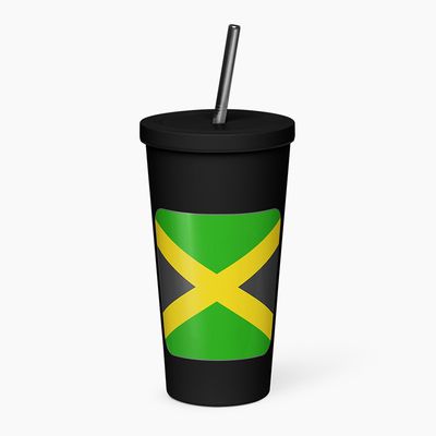 Insulated Tumblers with Straw