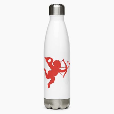Stainless Steel Water Bottles