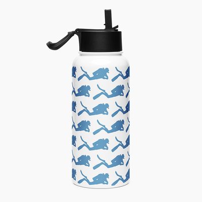 Stainless Steel Water Bottle with Straw Lid