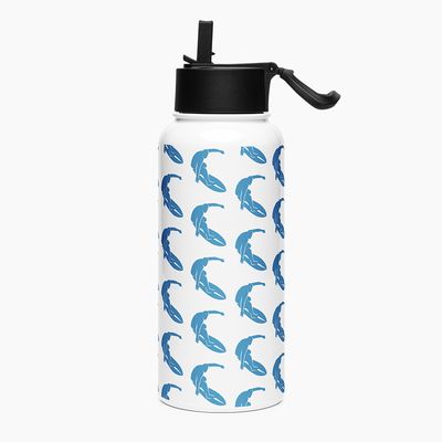Stainless Steel Water Bottle with Straw Lid