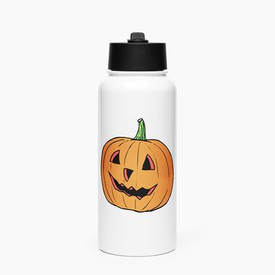 Stainless Steel Water Bottle with Straw Lid