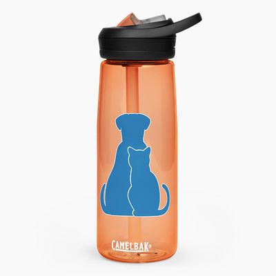 Sports Water Bottles
