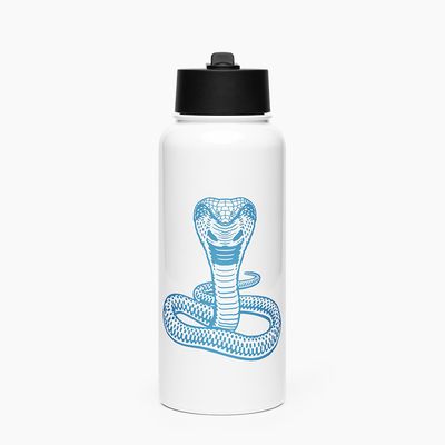 Stainless Steel Water Bottle with Straw Lid