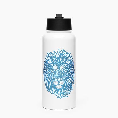 Stainless Steel Water Bottle with Straw Lid
