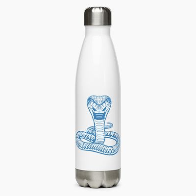 Stainless Steel Water Bottles