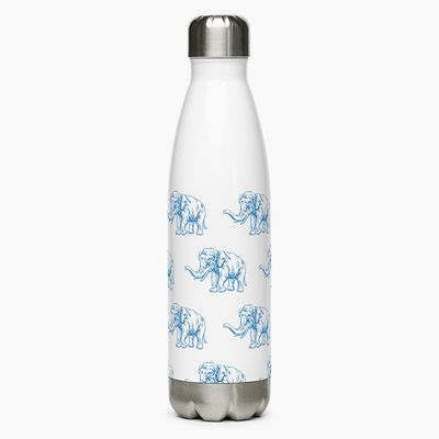 Stainless Steel Water Bottles