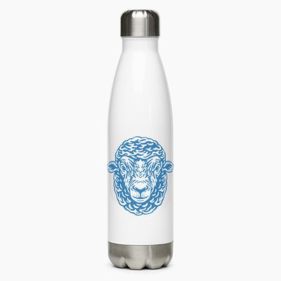 Stainless Steel Water Bottles