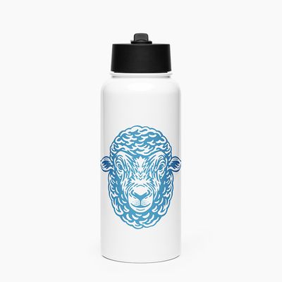 Stainless Steel Water Bottle with Straw Lid