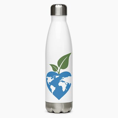 Stainless Steel Water Bottles
