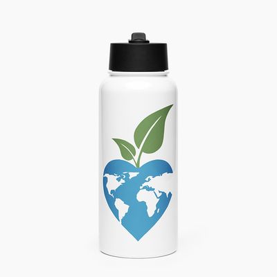 Stainless Steel Water Bottle with Straw Lid
