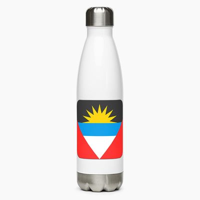 Stainless Steel Water Bottles