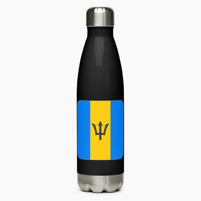 Stainless Steel Water Bottles