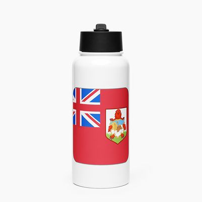Stainless Steel Water Bottle with Straw Lid