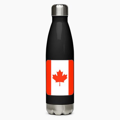 Stainless Steel Water Bottles