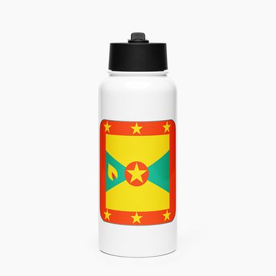 Stainless Steel Water Bottle with Straw Lid