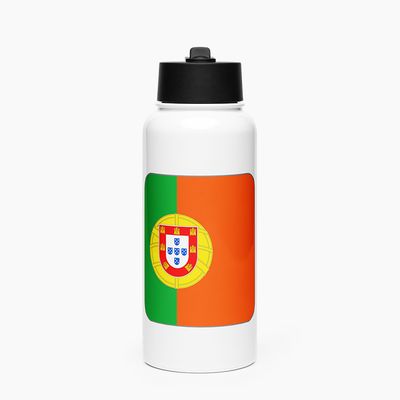 Stainless Steel Water Bottle with Straw Lid