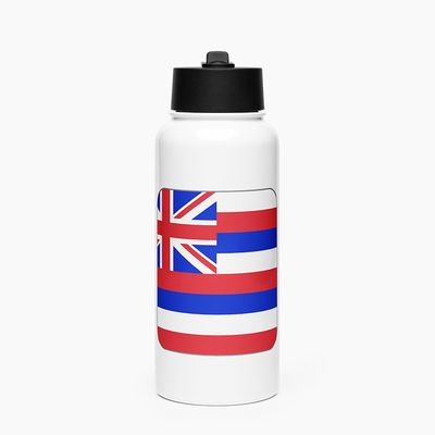 Stainless Steel Water Bottle with Straw Lid