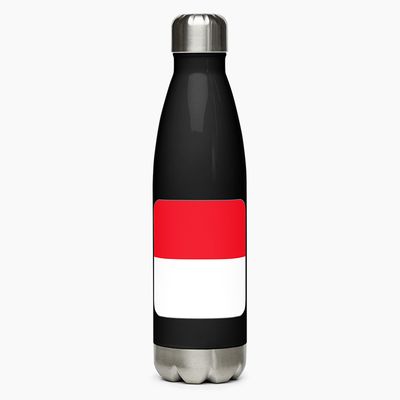 Stainless Steel Water Bottles