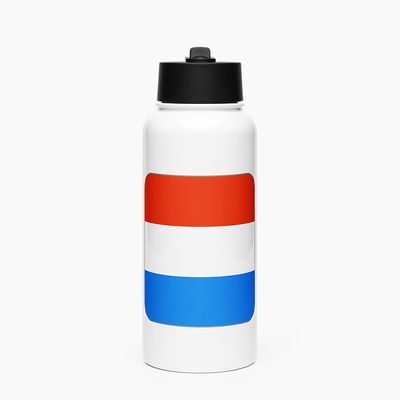 Stainless Steel Water Bottle with Straw Lid