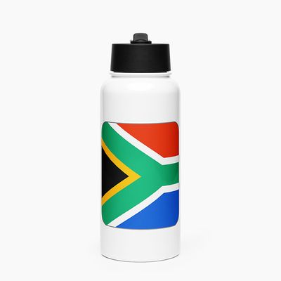 Stainless Steel Water Bottle with Straw Lid