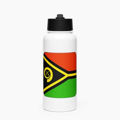 Stainless Steel Water Bottle with Straw Lid