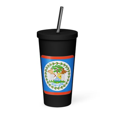 Belize Flag Insulated Tumbler with a Straw