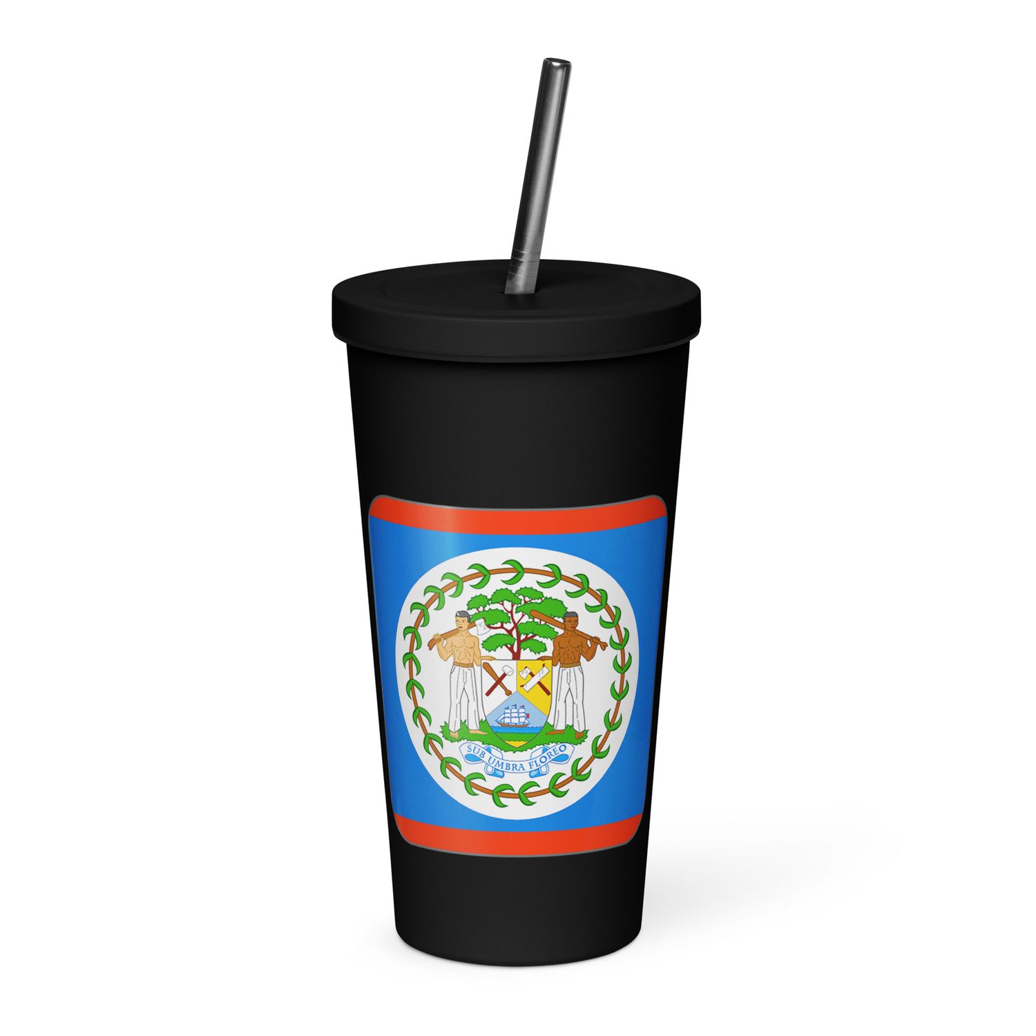 Belize Flag Insulated Tumbler with a Straw