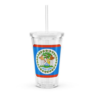 Belize Flag Clear Plastic Insulated tumbler