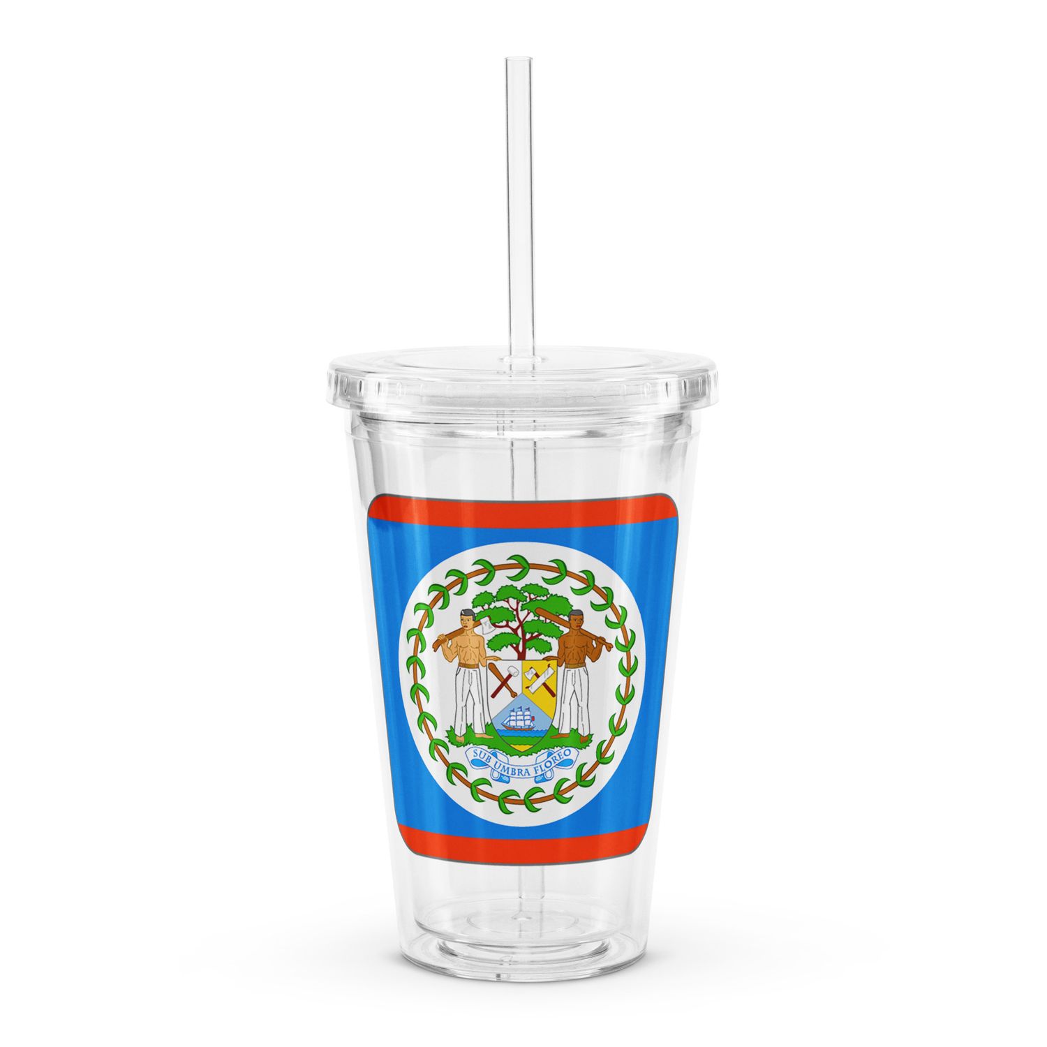 Belize Flag Clear Plastic Insulated tumbler