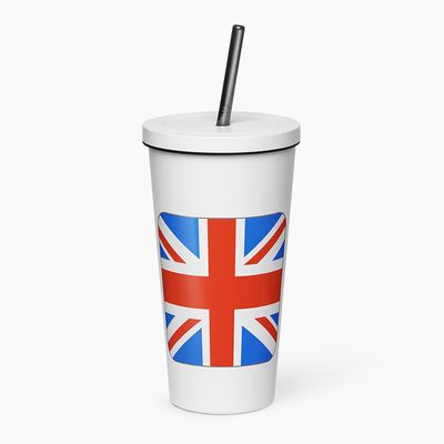 Insulated Tumblers with Straw