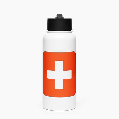 Stainless Steel Water Bottle with Straw Lid