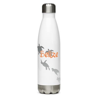 Belize Sea Turtle Scuba Diving Stainless Steel Water Bottle