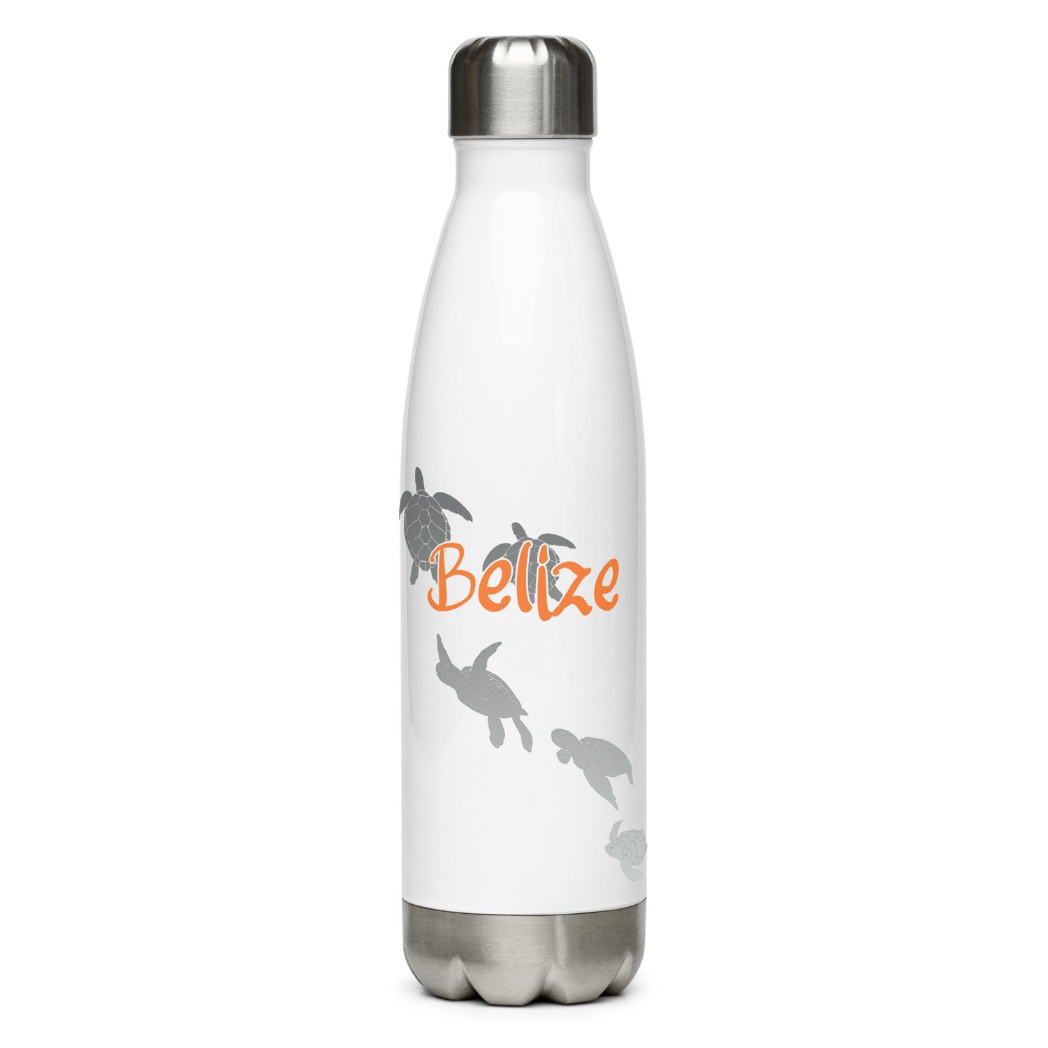 Belize Sea Turtle Scuba Diving Stainless Steel Water Bottle