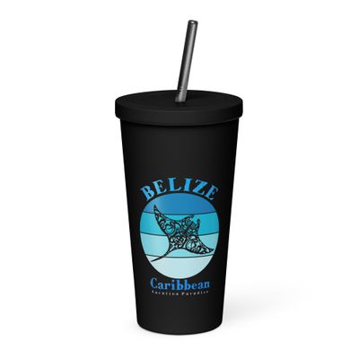 Manta Ray Belize Blue Design Insulated Tumbler with a Straw