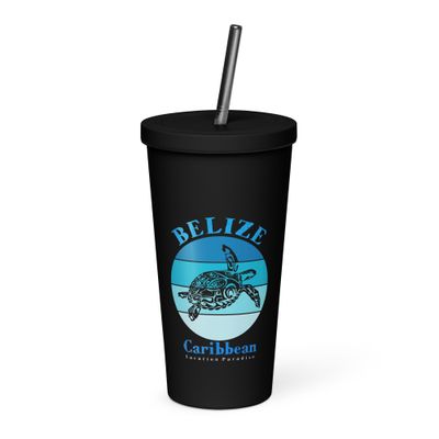 Sea Turtle Belize Blue Design Insulated Tumbler with a Straw
