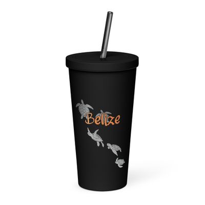 Belize Sea Turtle Scuba Diving Insulated Tumbler with a Straw