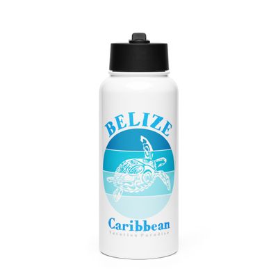 Sea Turtle Belize Blue Design Stainless Steel Water Bottle with a Straw Lid