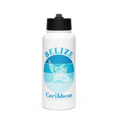 Manta Ray Belize Blue Design Stainless Steel Water Bottle with a Straw Lid