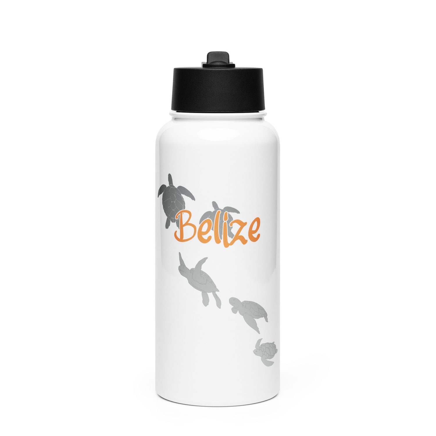 Belize Sea Turtle Scuba Diving Stainless Steel Water Bottle with a Straw Lid