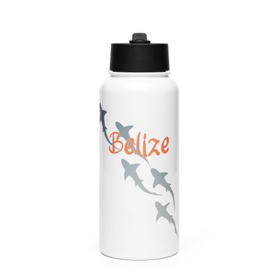 Belize Shark Scuba Diving Stainless Steel Water Bottle with a Straw Lid
