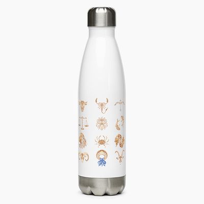 Stainless Steel Water Bottles