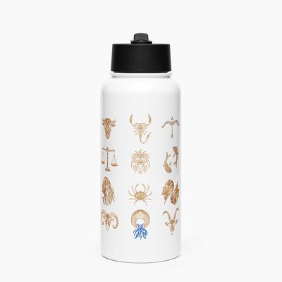 Stainless Steel Water Bottle with Straw Lid
