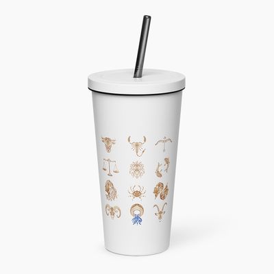 Insulated Tumblers with Straw